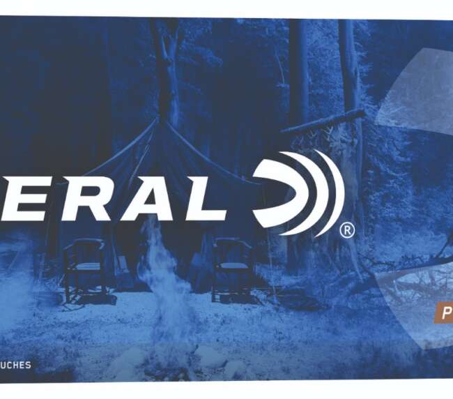 FDR 300WSM 180GR PWRSK SP 20RD