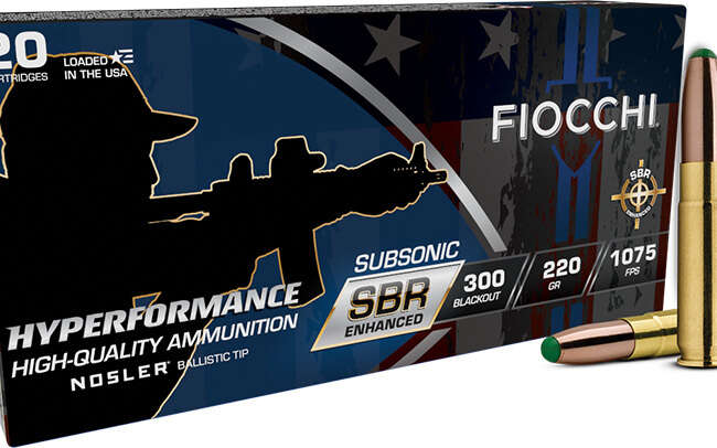 FIO 300BLK 220GR SBR BT 20RD