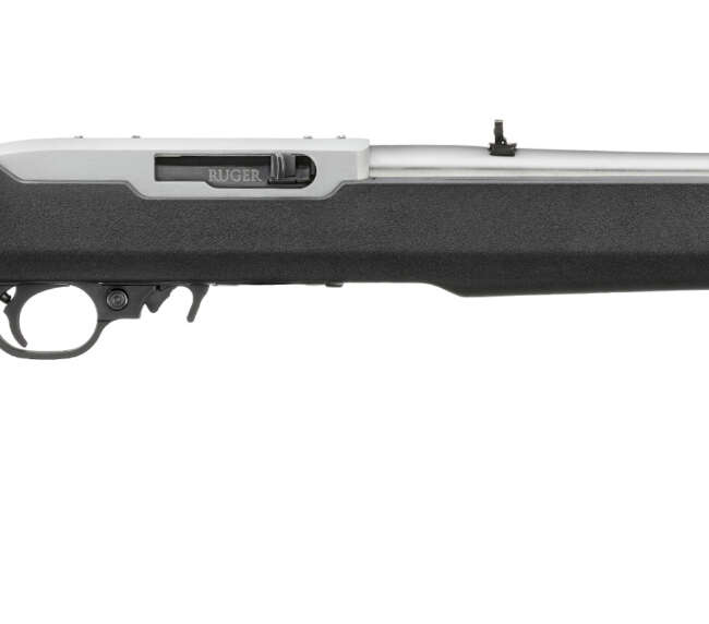 RUGER 10/22 22LR SS/SYN BLK MOE 18"
