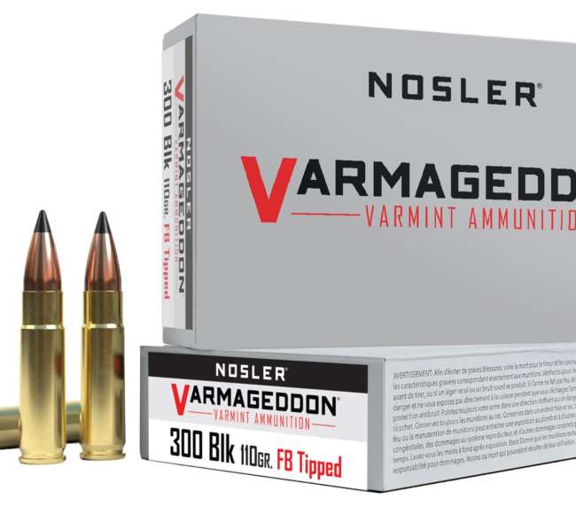 NOS 300BLK 110GR VARM FBT 20RD