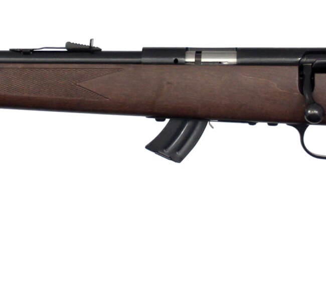 SAV MARK II-GL 22LR BA 10RD LH