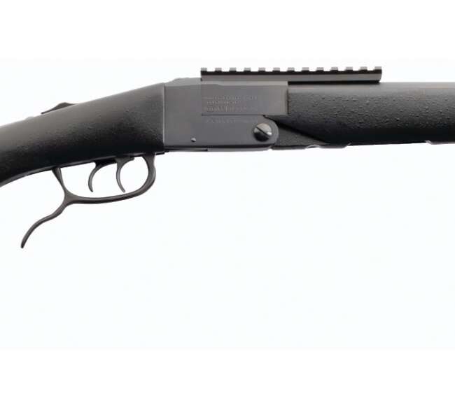 CHIAPPA FIREARMS DOUBLE BADGER DARK 22/410 20"