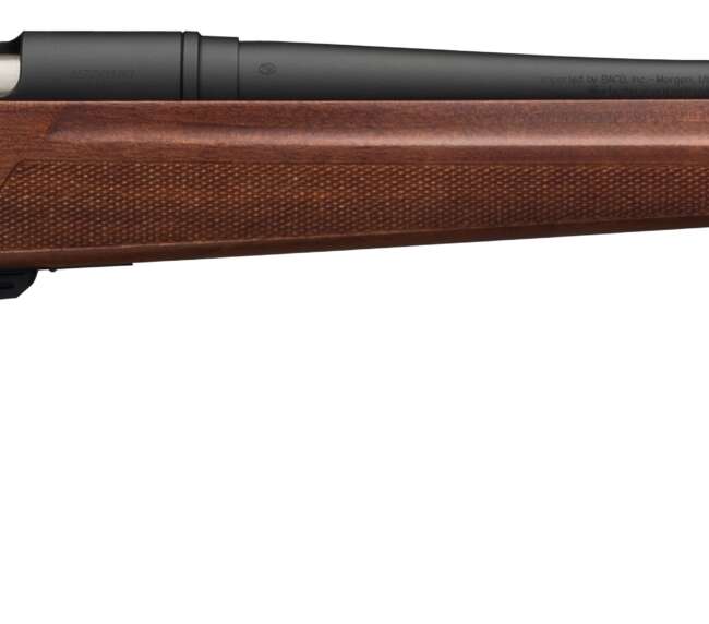 WINCHESTER XPR SPORTER 350LEG BL/WD 22"
