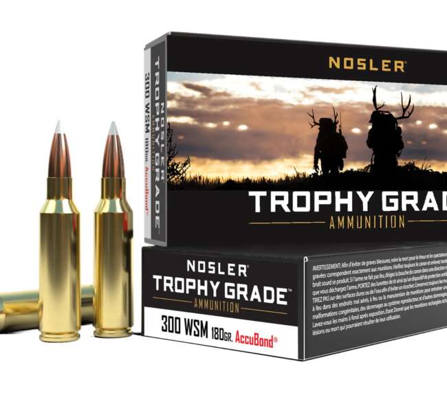 NOS 300WSM 180GR TG ACUBND 20R