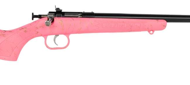 KEYSTONE SPORTING ARMS CRICKETT 22LR BLUE PNK/GLD WEB