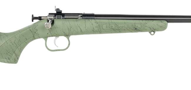 KEYSTONE SPORTING ARMS CRICKETT 22LR BLUE GRN/BLK WEB