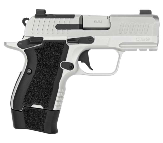 KIMBER CDS9 9MM STAINLESS 15+1 OR