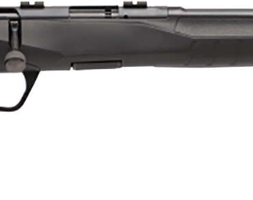 SAV B17F COMP 17HMR BA 10RD
