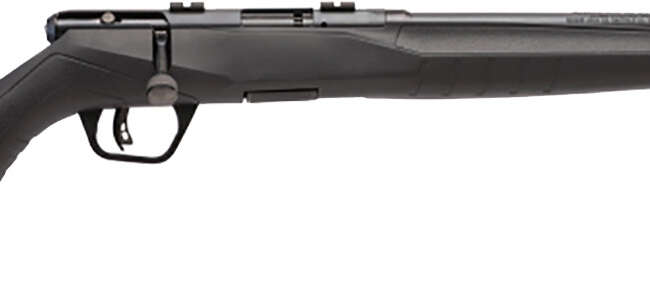SAV B17F COMP 17HMR BA 10RD