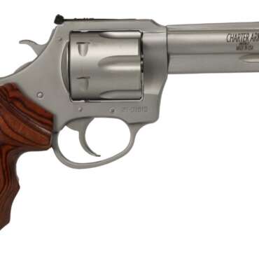 CHARTER ARMS THE PROFESSIONAL 357MAG SS