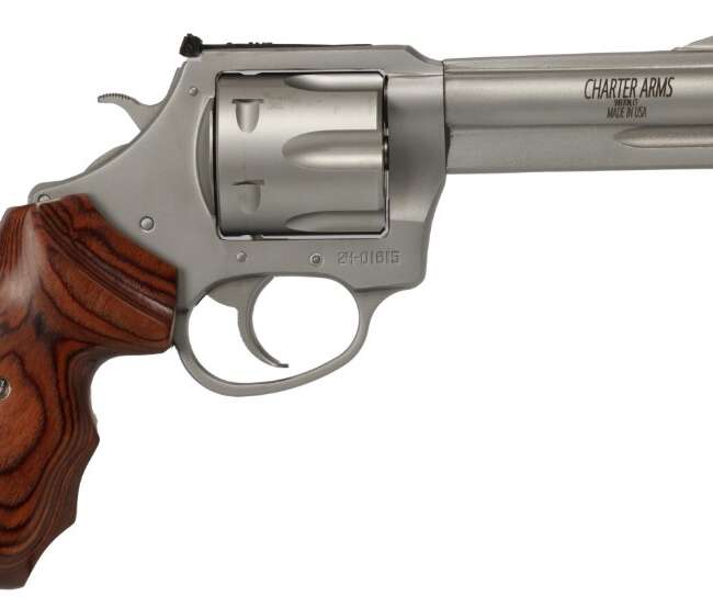 CHARTER ARMS THE PROFESSIONAL 357MAG SS