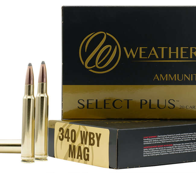 WEATHERBY 340WBY 225GR HORNADY INTERLOCK