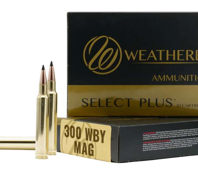 WEATHERBY 300WBY 180GR HDY INTERLOCK