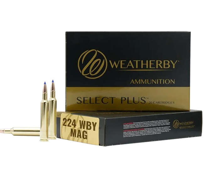 WEATHERBY 224WBY 37GR HAMMER CUSTOM