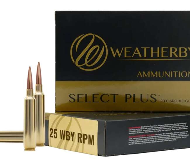 WEATHERBY 25WBY RPM 117GR HORNADY SST