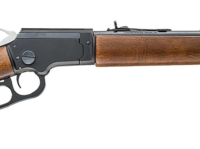 CHIAPPA FIREARMS LA BANDIT TAKEDOWN 22LR 12"