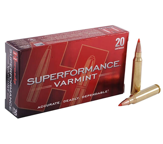 HRN 204RUG 24GR SPFV NTX 20RD