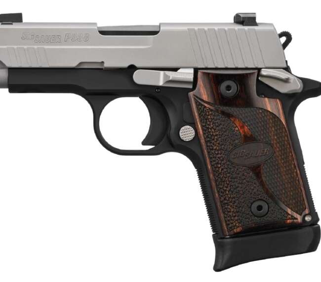 SIG SAUER P938 TWO-TONE 9MM 7+1 NS AMBI