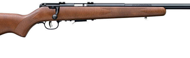 SAV 93R17-GV 17HMR BA RFL HB B