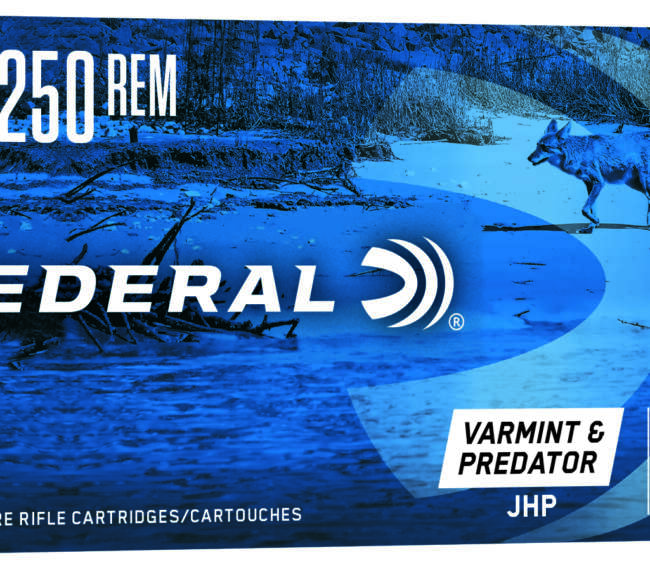 FDR 22-250 50GR AE JHP 20RD