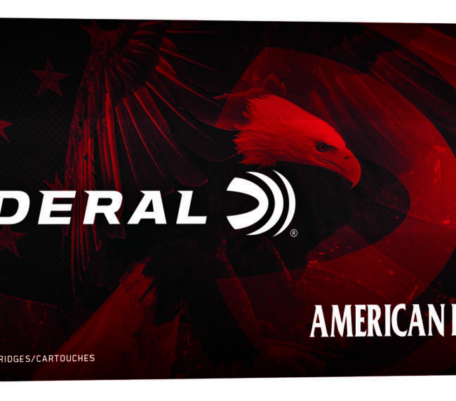 FDR 223 50GR AE JHP 20RD