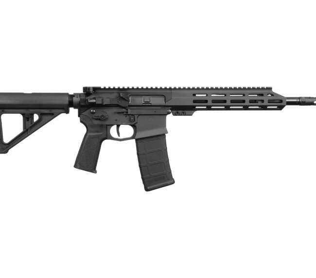 US PALM STORM CAT4 5.56 BLK 30+1 11.5"