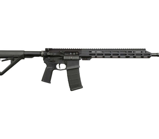 US PALM STORM CAT4 5.56 BLK 30+1 16"