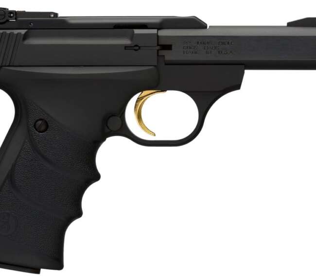 BROWNING BUCKMARK CNTR MICRO SS 4" CA
