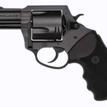 CHARTER ARMS MAG PUG 357M NITRIDE 5RD 2.2"