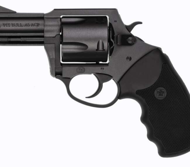 CHARTER ARMS MAG PUG 357M NITRIDE 5RD 2.2"