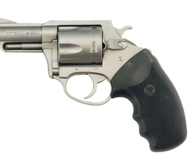 CHARTER ARMS CHARTER PITBULL 40S&W SS 2.3"