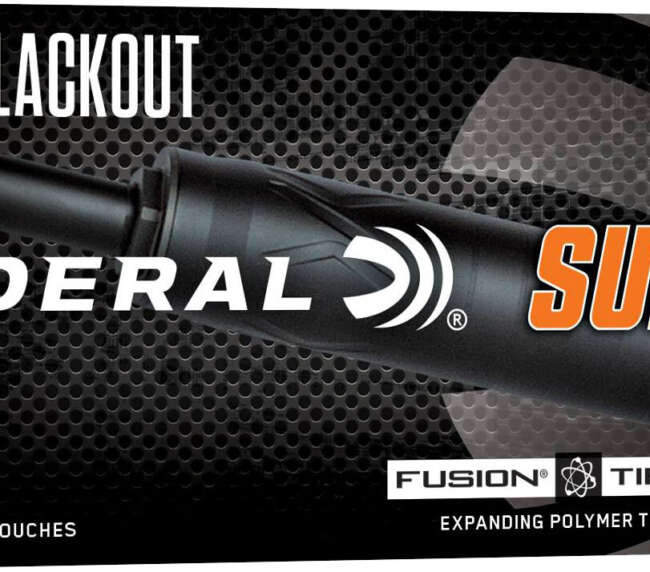 FDR 300BLK 190FR FUSION SUB 20