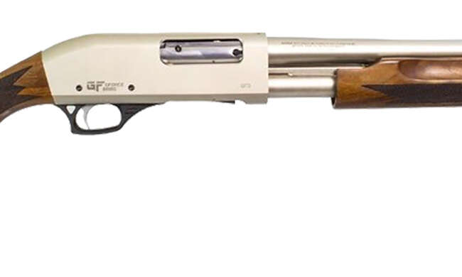 GFA GF3PN PUMP 12M/20B WD/NK