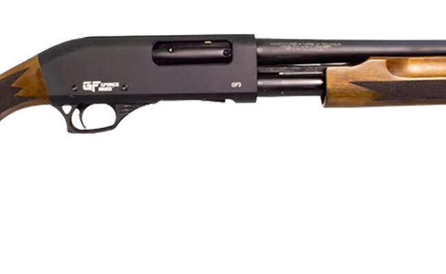 GFA GFP3 PUMP 12M/20 WOOD