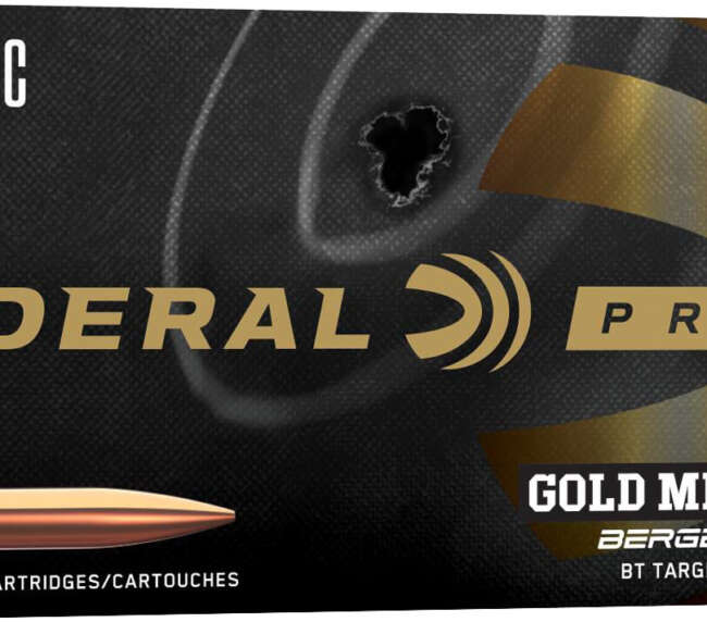 FDR 6MM ARC 108GR BRGR TRGT 20