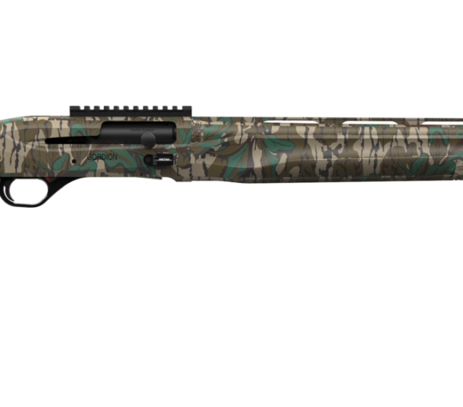 RETAY GORDION TKY 12/24 MOGL 3"