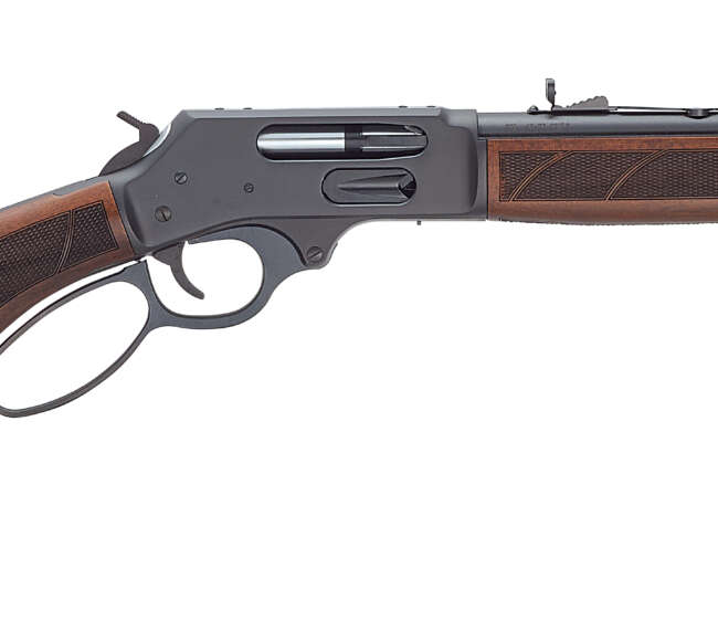 HEN PROTECTOR CARB LVR 45-70