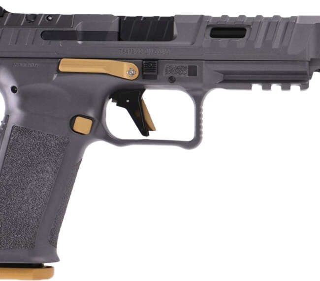 CAN RIVAL SFX 9MM 10RD GREY