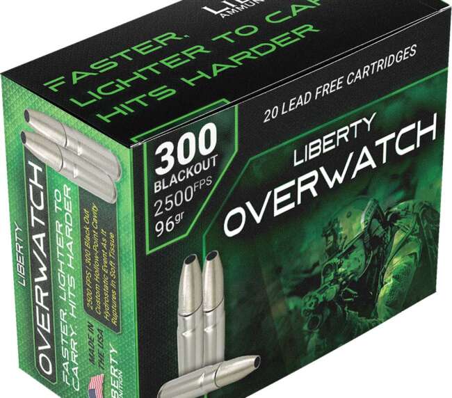 LIB 300BLK 96GR OVERWTCH HP 20