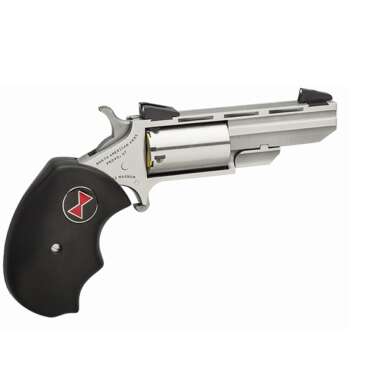 NORTH AMERICAN ARMS 22MAG 2" BLACK WIDOW SS FS