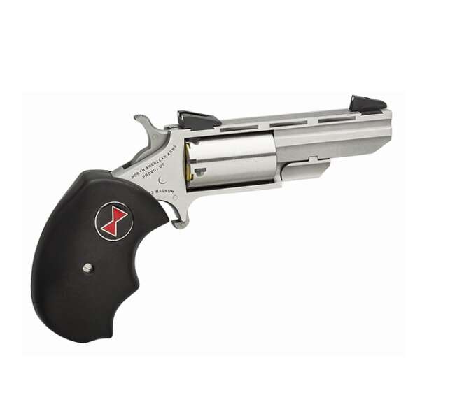 NORTH AMERICAN ARMS 22MAG 2" BLACK WIDOW SS FS