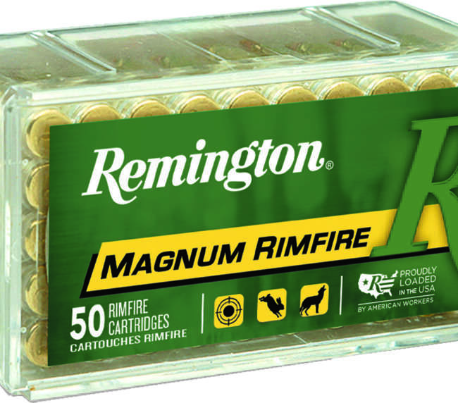 REM 22M 40GR JHP 50RD