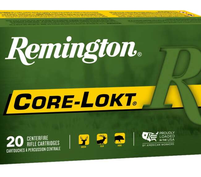 REM 270 100GR CORE PSP 20RD