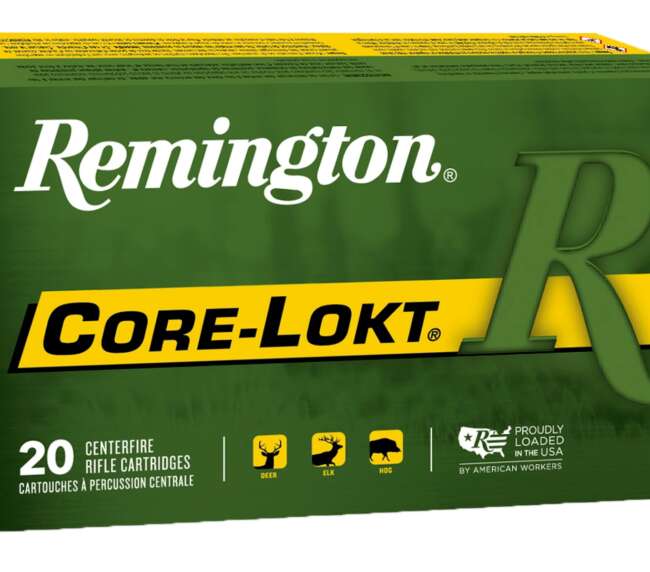 REM 30-06 125GR CORE PSP 20RD