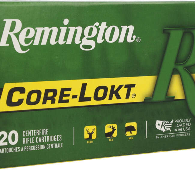 REM 308 180GR CORE SP 20RD