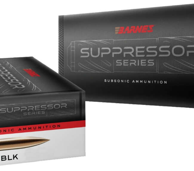 BAR 300BLK 205GR SUB SGKX 20RD