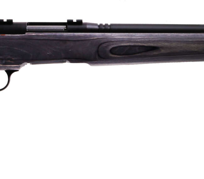 SAVAGE ARMS B.MAG 17WSM BL/LAM HVBBL FLT