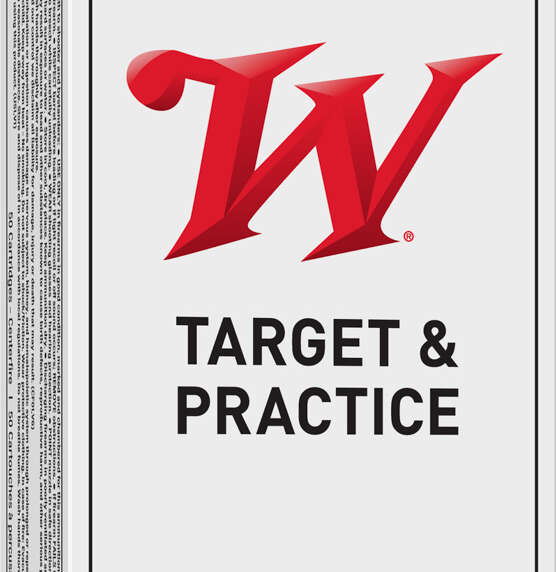 WIN 10MM 180GR FMJ 50RD