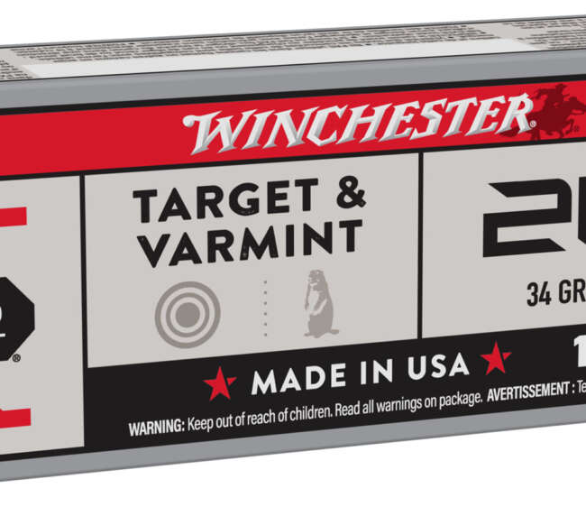 WIN 21S 34GR JHP 100RD