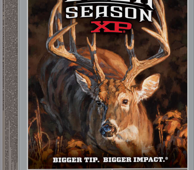 WIN 243 95GR DEER XP 20RD